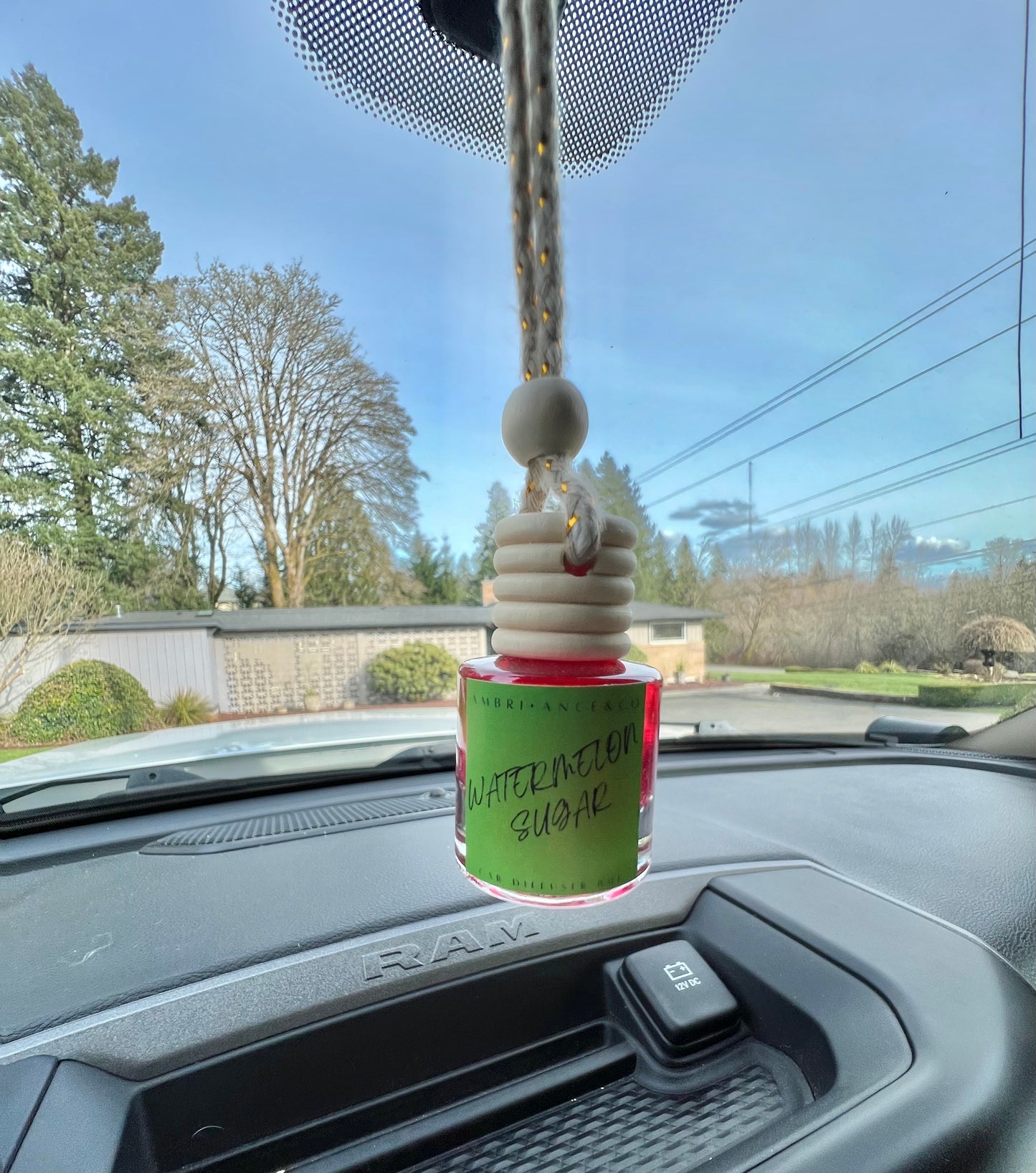 Watermelon Sugar - Scented Car Freshener